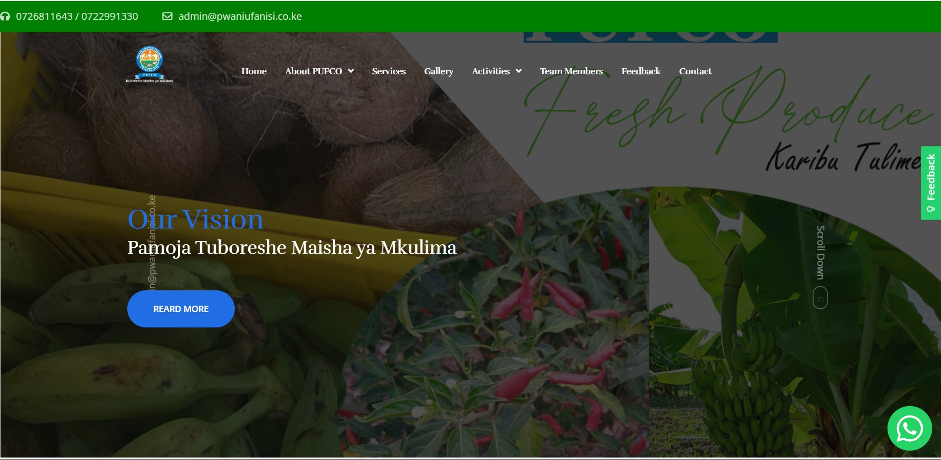 Pwani Ufanisi Website